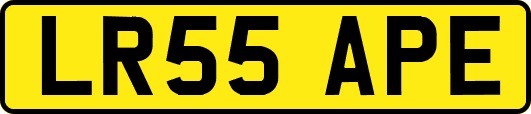 LR55APE