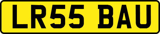 LR55BAU
