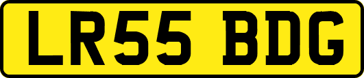 LR55BDG