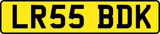 LR55BDK