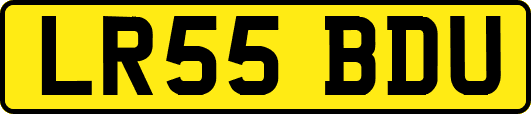 LR55BDU