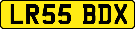 LR55BDX