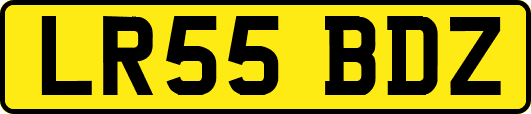 LR55BDZ