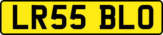 LR55BLO