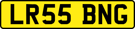LR55BNG