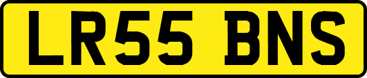 LR55BNS