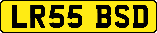 LR55BSD