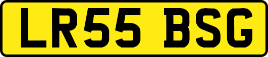 LR55BSG