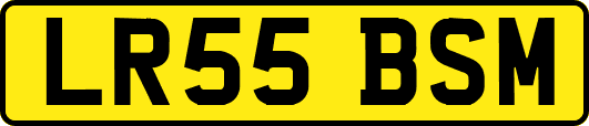 LR55BSM