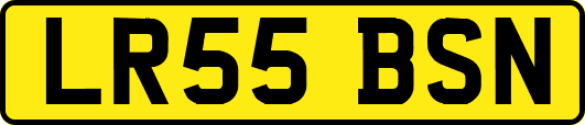 LR55BSN