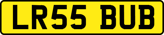 LR55BUB