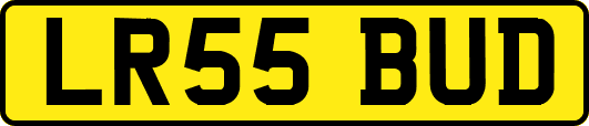 LR55BUD
