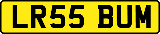 LR55BUM
