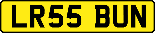 LR55BUN