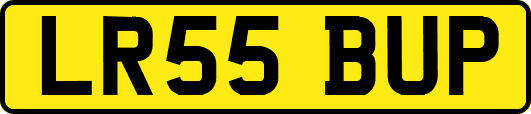 LR55BUP