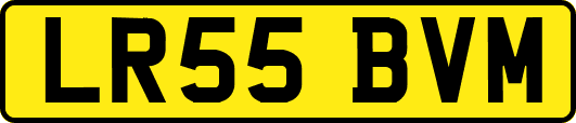 LR55BVM