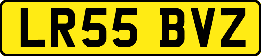 LR55BVZ