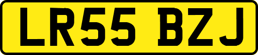 LR55BZJ