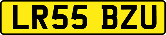 LR55BZU