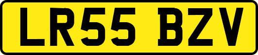 LR55BZV