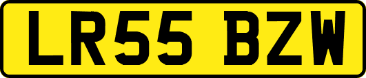 LR55BZW