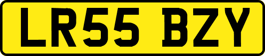 LR55BZY