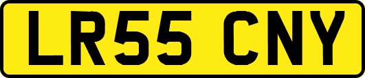 LR55CNY