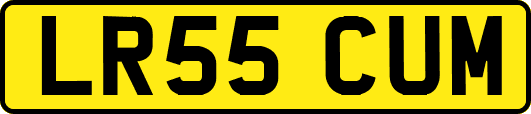 LR55CUM