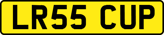 LR55CUP