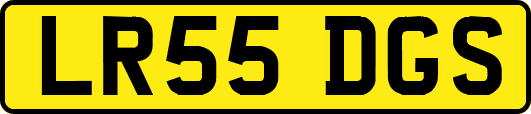 LR55DGS
