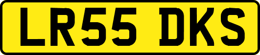 LR55DKS