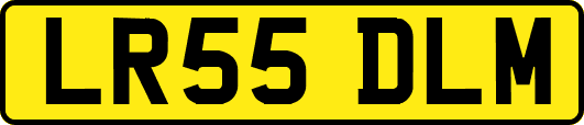LR55DLM