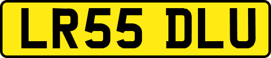 LR55DLU