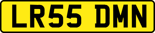 LR55DMN