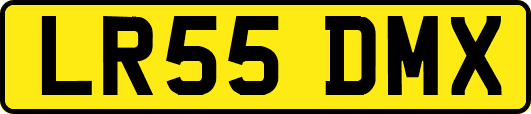 LR55DMX