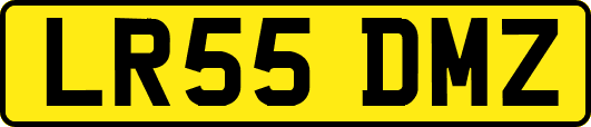 LR55DMZ