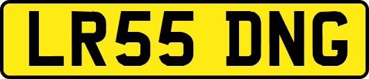 LR55DNG