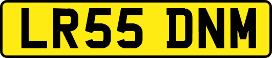 LR55DNM