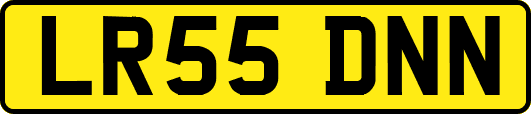 LR55DNN