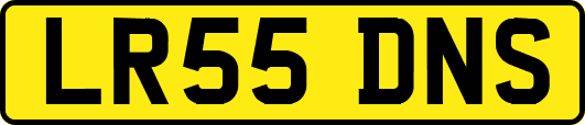 LR55DNS