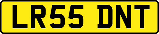 LR55DNT