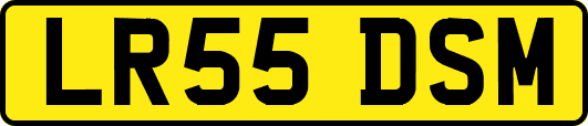 LR55DSM