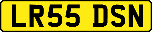 LR55DSN
