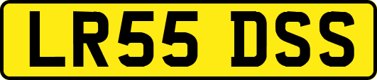 LR55DSS