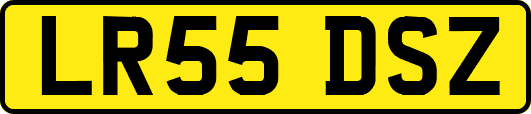 LR55DSZ