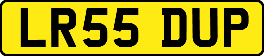 LR55DUP