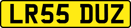 LR55DUZ