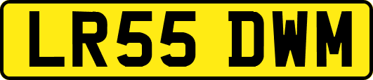 LR55DWM