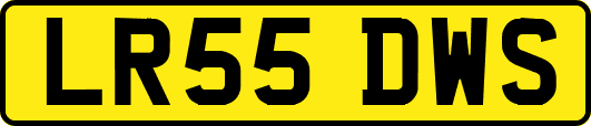 LR55DWS