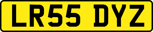 LR55DYZ